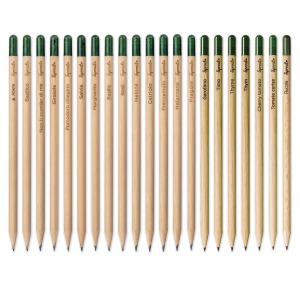 Crayon Sprout en bois durable avec mine graphite. Plantable après utilisation