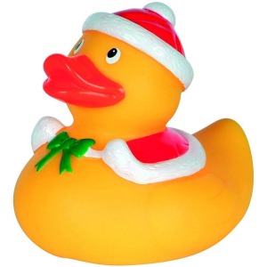 Pato de invierno S