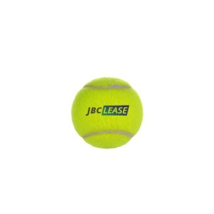 Pelota de tenis