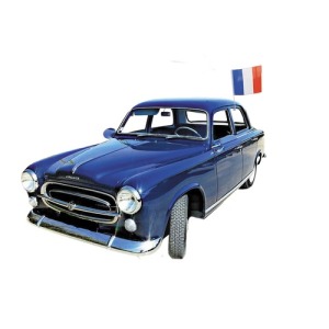 BANDERA DEL COCHE FRANCIA