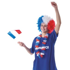 BANDERA DE FRANCIA 14X21CM