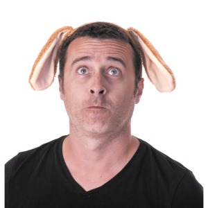 DIADEMA PARA PERRITO