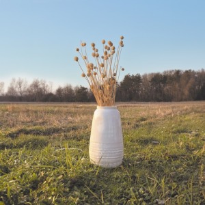 MANOJO DE CARDOS SECOS