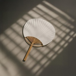 Éventail de promoción papier