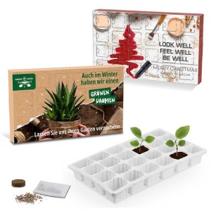 Calendario de Adviento para plantar