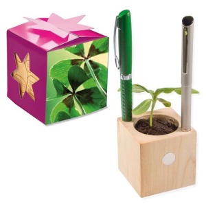 Pot cube boisde bureau en boite star-box - Bulbes de trèfle à 4 feuilles personalizable