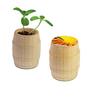 Mini barril de madera - Souci