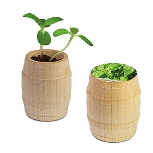 Mini barril de madera - Basilic