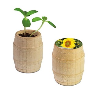Mini barril de madera - Tournesol