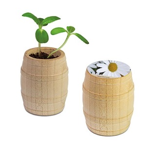 Mini barril de madera - Marguerite