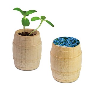 Mini barril de madera - Myosotis
