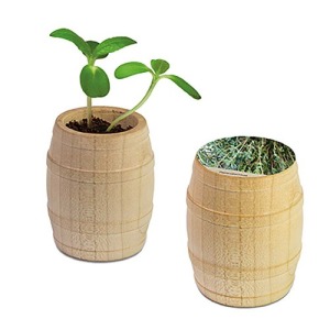 Mini barril de madera - Thym