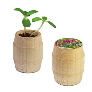 Mini barril de madera - Mezcla de flores de verano
