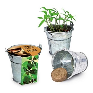 Mini seau métal - Bulbes de trèfle à 4 feuilles personalizable