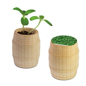 Mini barril de madera - Cresson de jardin