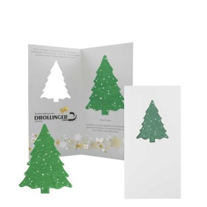 Tarjeta de felicitación con papel de semillas de abeto - semillas de abeto - Abeto - 4/0-c