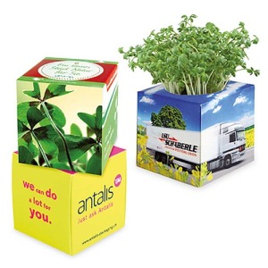 Cube à planter 2.0 - Bulbes de trèfle à 4 feuilles de promoción