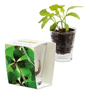 Verre expresso - Bulbes de trèfle à 4 feuilles personalizable