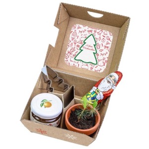 Caja de regalo de Navidad estándar