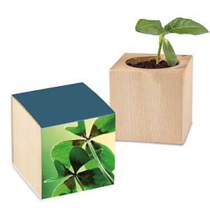 Pot cube - Bulbes de trèfle à 4 feuilles personalizable