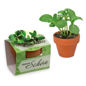 Mini pot terre cuite en fourreau fleur - Bulbes de trèfle à 4 feuilles de promoción