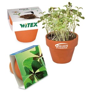 Mini pot terre cuite, fourreau chapeau - Bulbes de trèfle à 4 feuilles de promoción