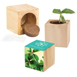 Pot cube bois maxi - Bulbes de trèfle à 4 feuilles personalizable