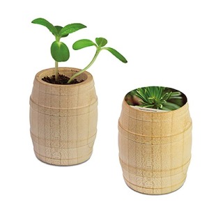 Mini barril de madera de Navidad - Epicéa