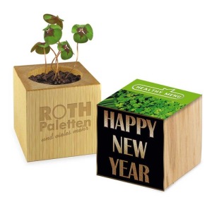 Pot cube bois Mini - Trèfle à 4 feuilles personalizable - sans gravure laser