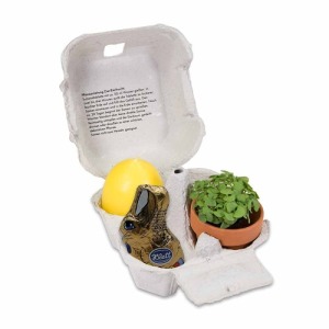 Placer en una caja - con set de plantación, mini maceta de terracota, vela huevo, conejito de chocolate