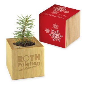 Cubo de madera para escritorio de Navidad - Diseño estándar - Abeto - sin grabado láser