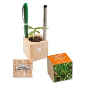 Maceta cubo de madera para escritorio de Navidad - Abeto - Abeto