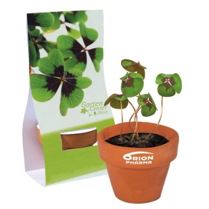 Mini pot en terre cuite sous pochette - Four-leaf clover