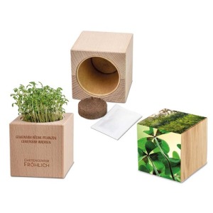 Plante-bois Grande avec graines - Bulbes de trèfle à 4 feuilles de promoción