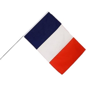 Drapeau de promoción 60x90cm à agiter sur hampe plastique 90cm