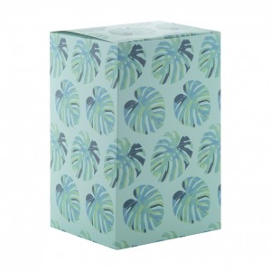 Caja 7x5x12cm