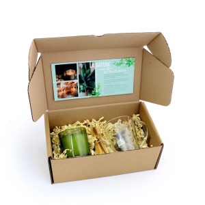 Caja de bienestar