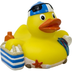 Duck Travel Beach