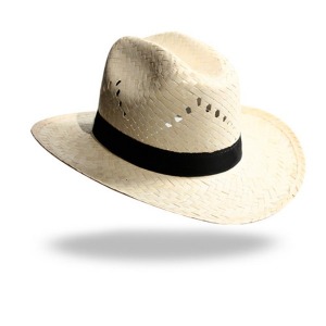 STETSONS sombrero de paja blanco