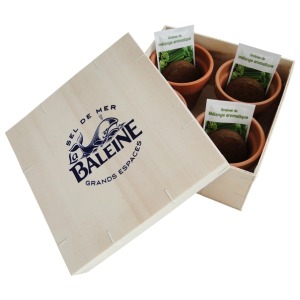 Caja de madera aromática