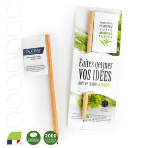 Lápiz de madera con bolsa de semillas de bandera