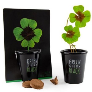 Kit de plantación negro - Trébol de 4 hojas