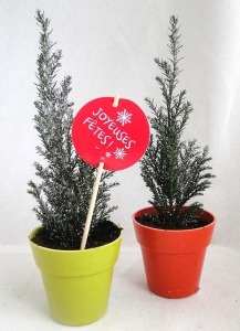 Planta de árbol en maceta Fibra de bambú 10 cm - Madera blanda