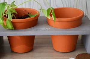 Bandeja dúo aromática