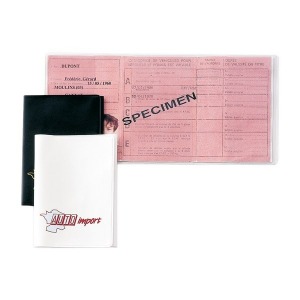 El titular de la licencia de conducir