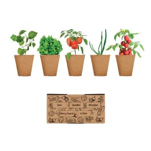 Ensalada Kit de cultivo de ensalada
