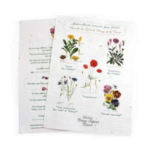 Alfombrilla para semillas A4 - 120 g RECTO-VERSO