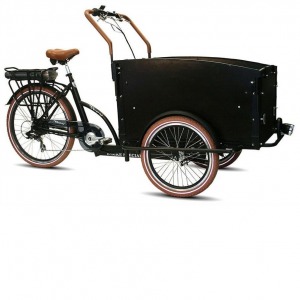 Scooter eléctrico troy 26