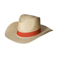 Navegante de texas picture