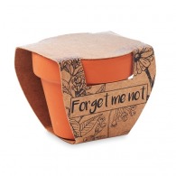 Forget me not - maceta de semillas de nomeolvides picture
